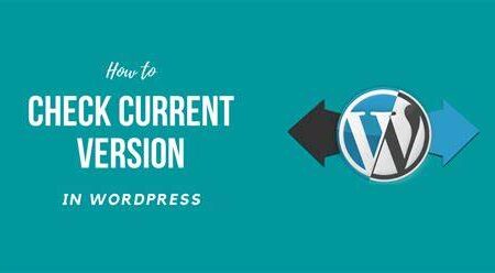 5 methods to check WordPress version of your website – step-by-step